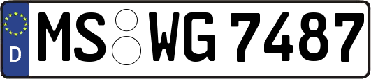 MS-WG7487