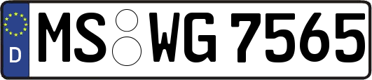 MS-WG7565