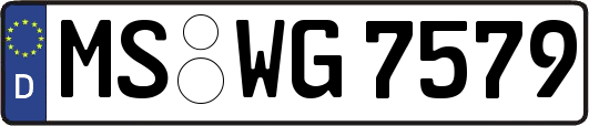 MS-WG7579