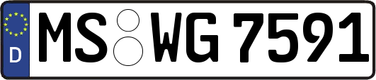 MS-WG7591