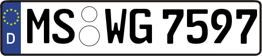 MS-WG7597
