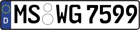 MS-WG7599