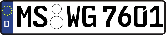 MS-WG7601