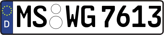 MS-WG7613