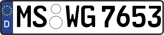 MS-WG7653