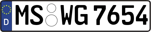 MS-WG7654