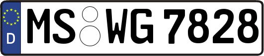 MS-WG7828