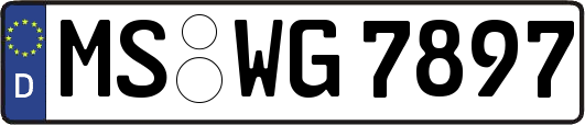 MS-WG7897