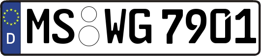MS-WG7901