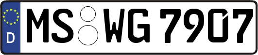 MS-WG7907