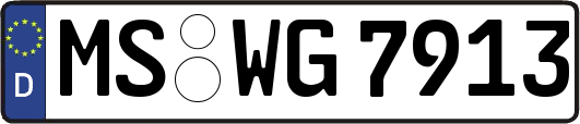 MS-WG7913
