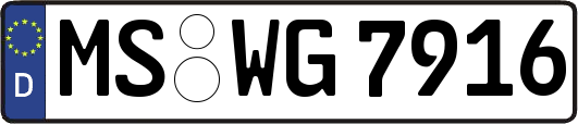 MS-WG7916