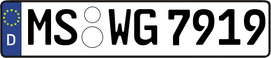 MS-WG7919