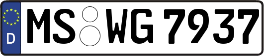 MS-WG7937