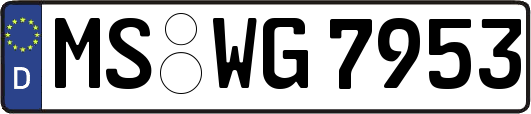 MS-WG7953