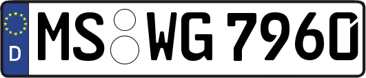 MS-WG7960