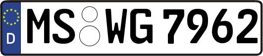 MS-WG7962