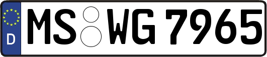 MS-WG7965