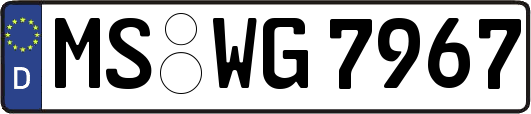 MS-WG7967