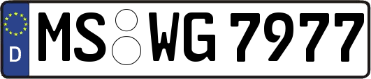 MS-WG7977