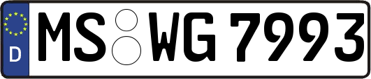 MS-WG7993