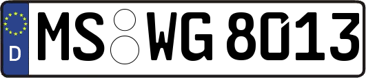 MS-WG8013