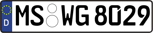 MS-WG8029
