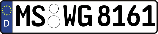 MS-WG8161