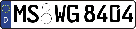 MS-WG8404