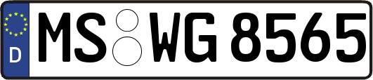 MS-WG8565