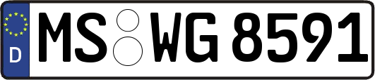 MS-WG8591