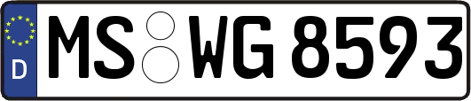 MS-WG8593