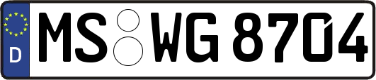 MS-WG8704