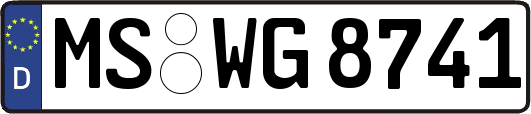 MS-WG8741