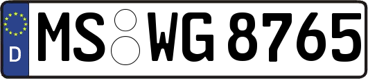 MS-WG8765