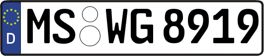MS-WG8919