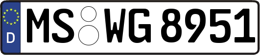 MS-WG8951