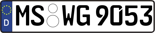 MS-WG9053