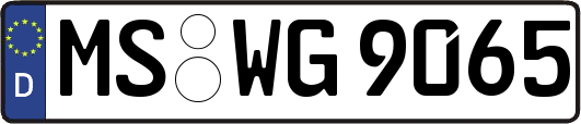 MS-WG9065