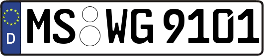 MS-WG9101