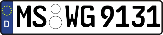 MS-WG9131