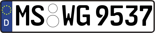 MS-WG9537