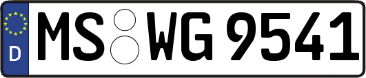 MS-WG9541