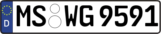 MS-WG9591