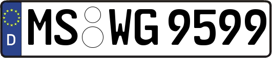 MS-WG9599