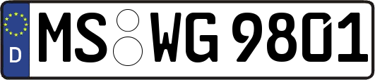 MS-WG9801