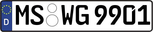 MS-WG9901