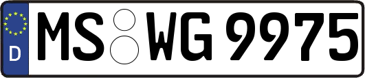 MS-WG9975