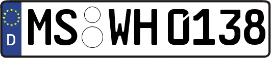 MS-WH0138