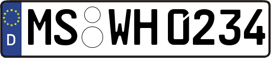 MS-WH0234